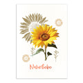 Notizbuch Heupapier - HAYFlower, A5, 75g/m², 60 Blatt, Eco Softcover, kariert RNK 46843 RNK 46843 HAYFlower,kariert, A5, 60 Bl