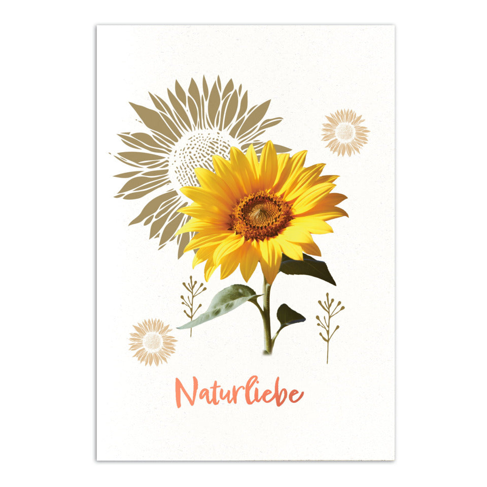 Notizbuch Heupapier - HAYFlower, A5, 75g/m², 60 Blatt, Eco Softcover, kariert RNK 46843 RNK 46843 HAYFlower,kariert, A5, 60 Bl