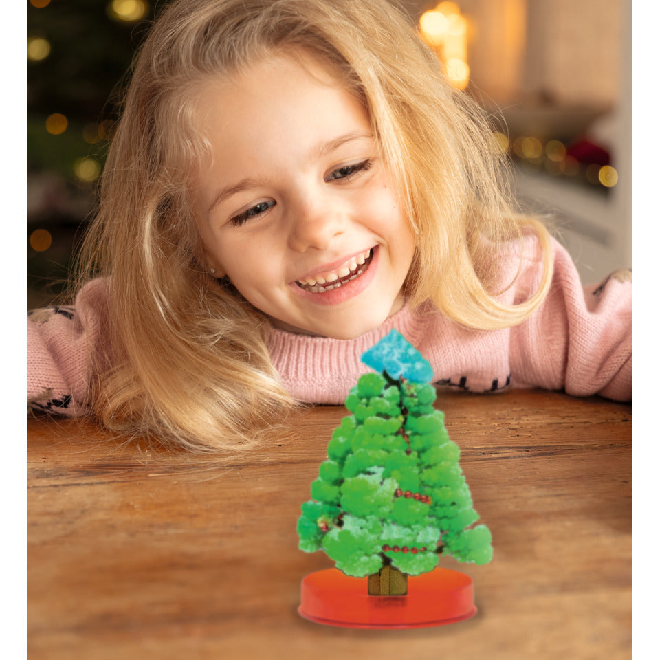 Bastelset Kristall-Weihnachtsbaum MOSES.VERLAG 16941 MOSES 16941