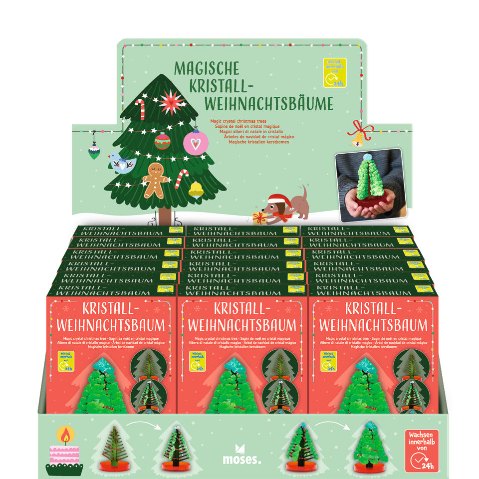 Bastelset Kristall-Weihnachtsbaum MOSES.VERLAG 16941 MOSES 16941