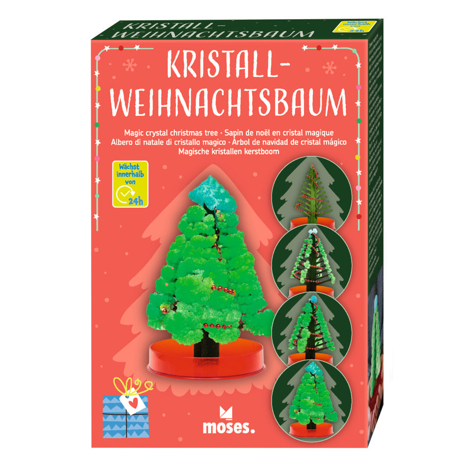 Bastelset Kristall-Weihnachtsbaum MOSES.VERLAG 16941 MOSES 16941
