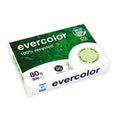 Kopierpapier Evercolor, A4, 80g/m², 500 Blatt, hellgrün CLAIREFONTAINE 40004C