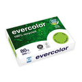 Kopierpapier Evercolor, A4, 80g/m², 500 Blatt, lindgrün CLAIREFONTAINE 40027C