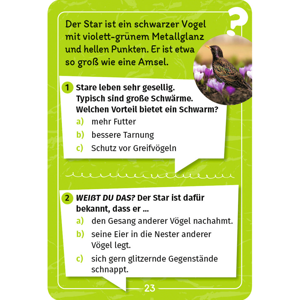 Display Mein Forscherquiz MOSES.VERLAG 99549 MOSES VERLAG 99549