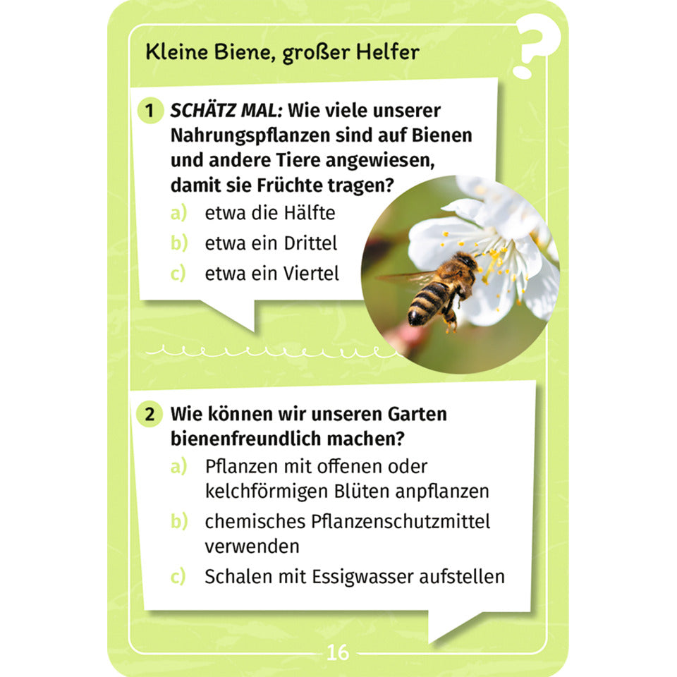 Display Mein Forscherquiz MOSES.VERLAG 99549 MOSES VERLAG 99549
