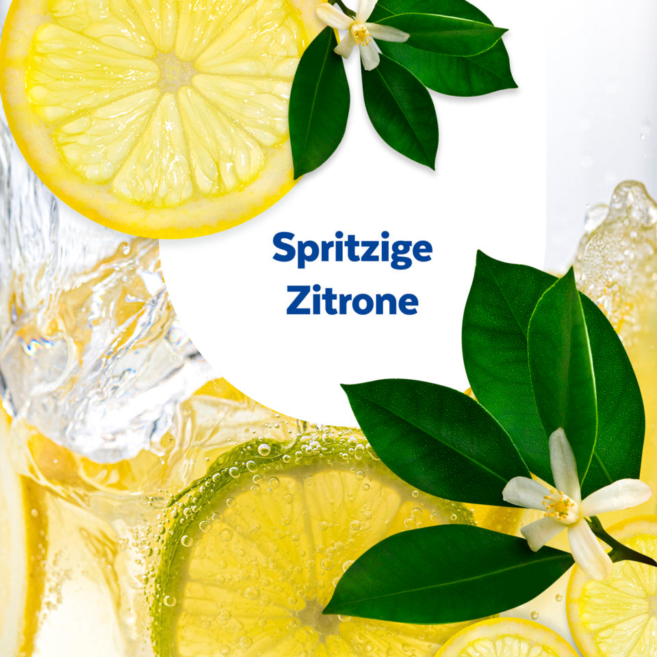 Allzweckreiniger Küche Zitrone, 750 ml SAGROTAN 3347166 SAGROTAN 3347166  444455