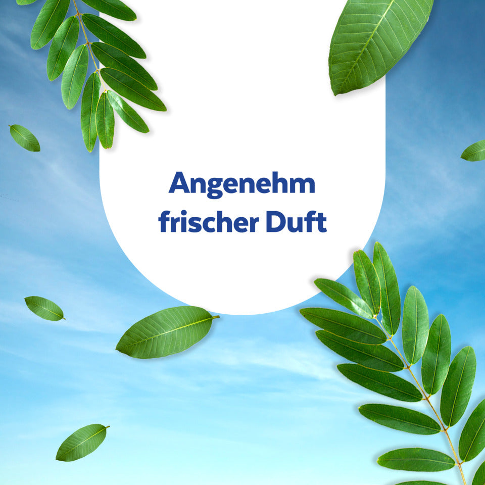 Reinigungstuch Pinientraum, 60 Stück SAGROTAN 3347327 SAGROTAN 3347327 Pinientraum