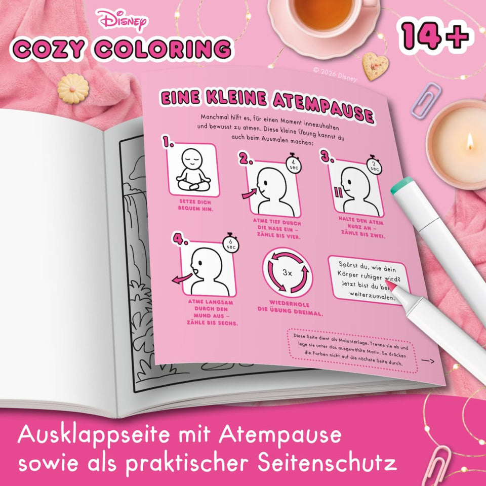 Malen nach Zahlen Cozy Coloring Disney - Girl Moments RAVENSBURGER 48131