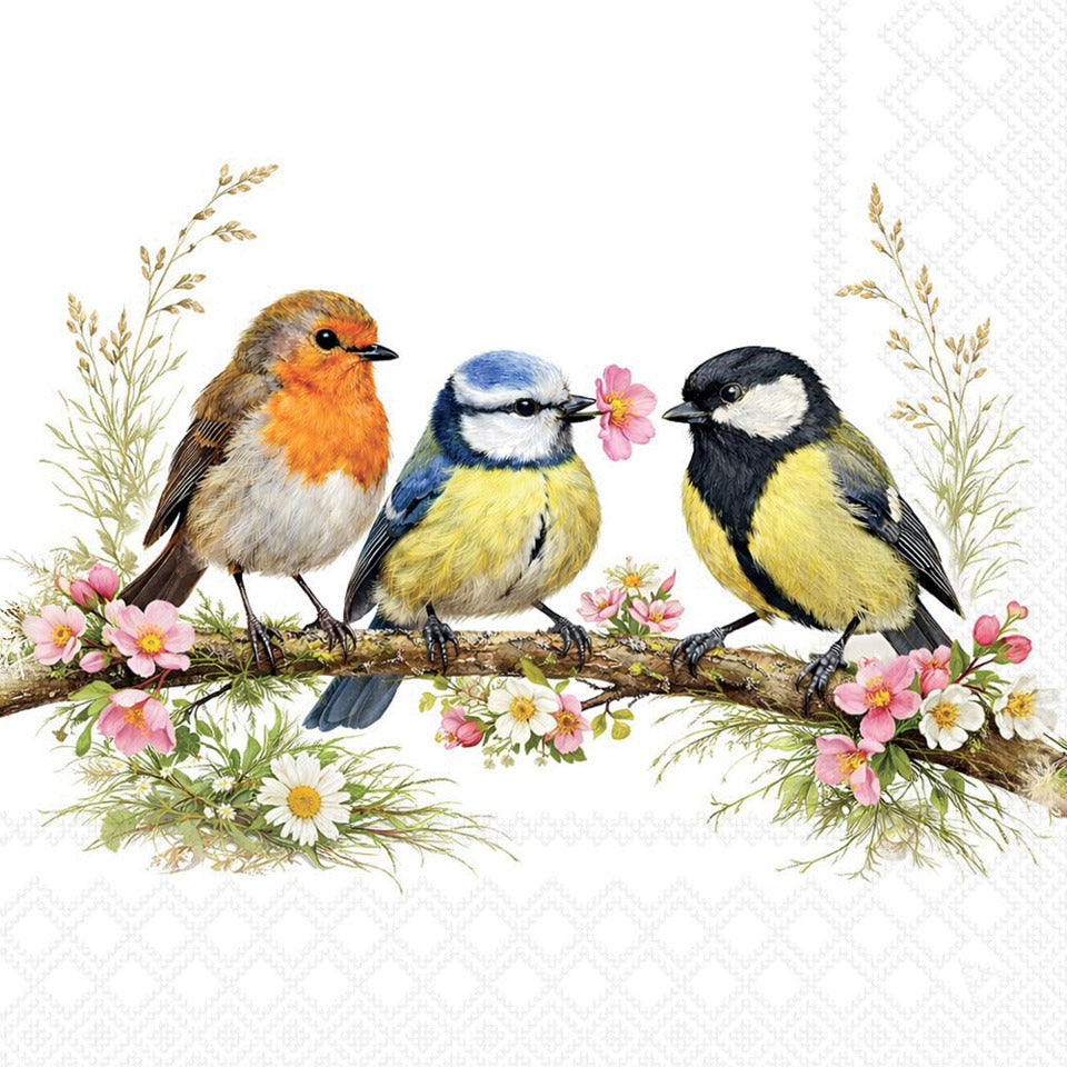 Motivserviette Bird Friends, 33 x 33 cm, 3-lagig, 20 Stück AMBIENTE 13321785 AMBIENTE 13321785 20ST