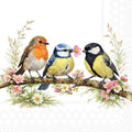 Motivserviette Bird Friends, 33 x 33 cm, 3-lagig, 20 Stück AMBIENTE 13321785 AMBIENTE 13321785 20ST
